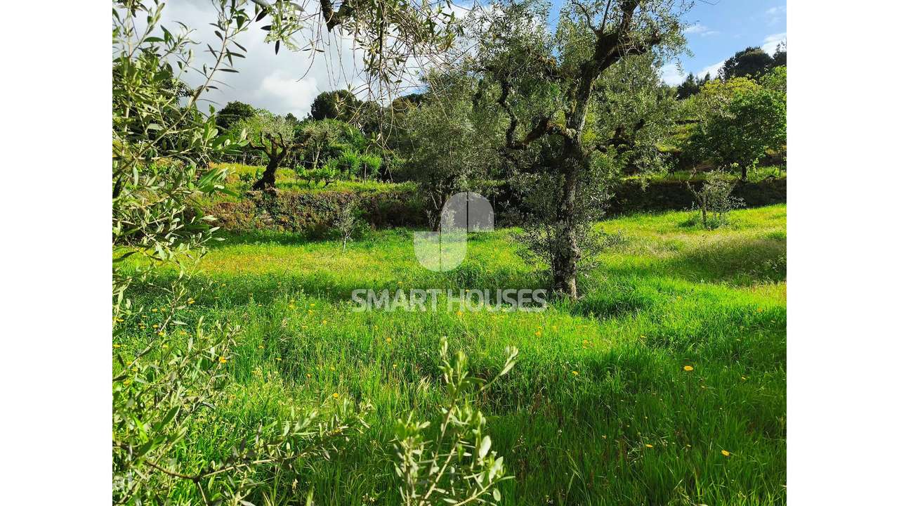 Quintinha em Vila do Mato-20