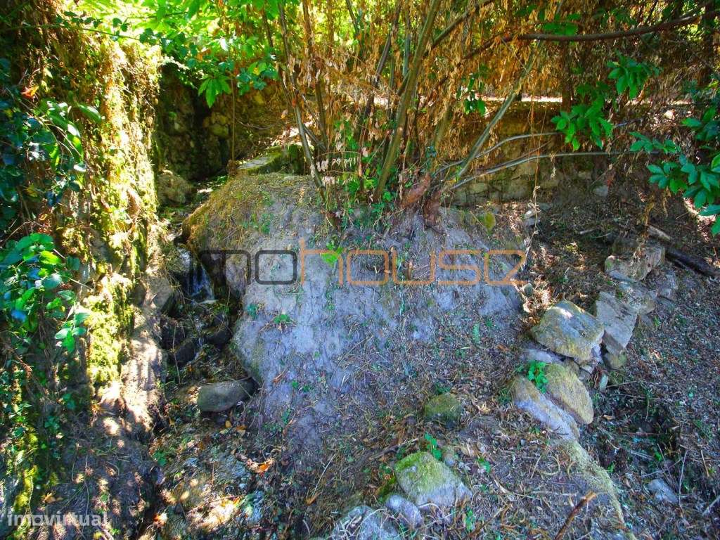 Quinta com Ribeiro e casa para restaurar - Terreno de cultivo-16