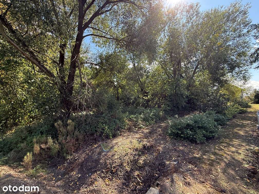 Działka w Przydrożu Wielkim-7