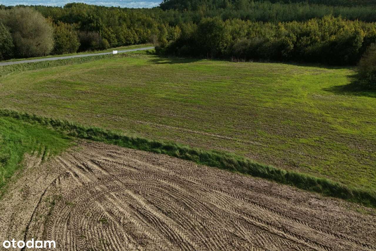 Apartament 4 pok. o pow. 81 m2, duża działka, cicha okolica, blisko S5 - Pełny obrazek: 5/6