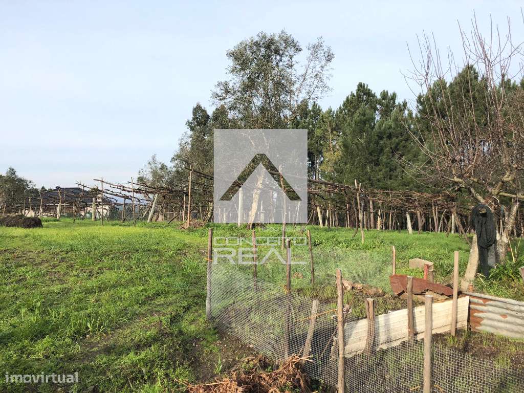 Terreno com 16.800 m2 em Medas – Gondomar - Grande imagem: 5/7