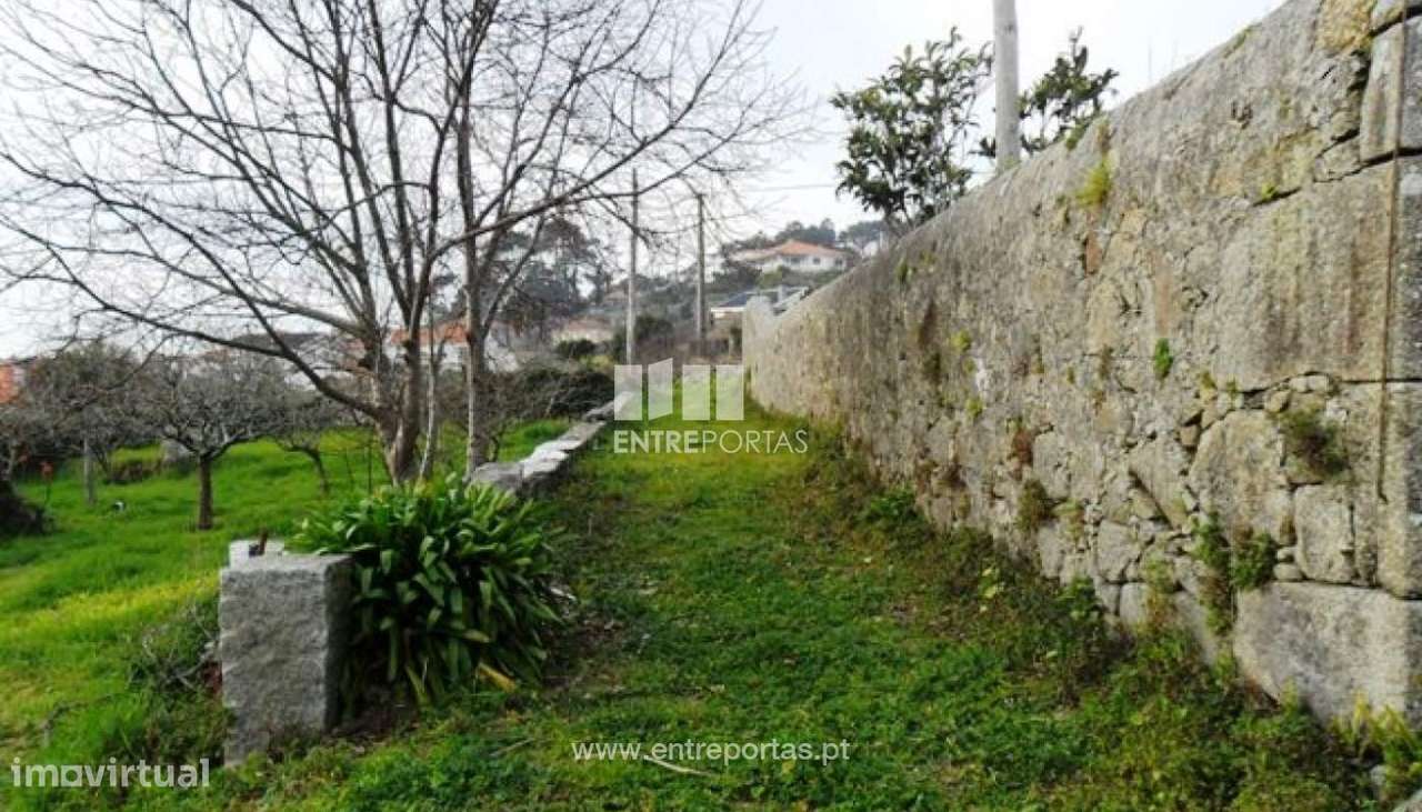 Terreno - Carreço - Grande imagem: 3/6