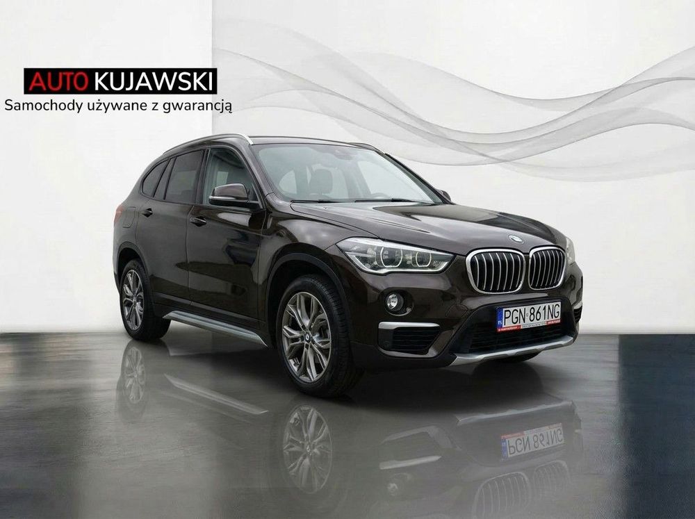 BMW X1 F48 (2015-2022) sDrive18d xLine sport 2017