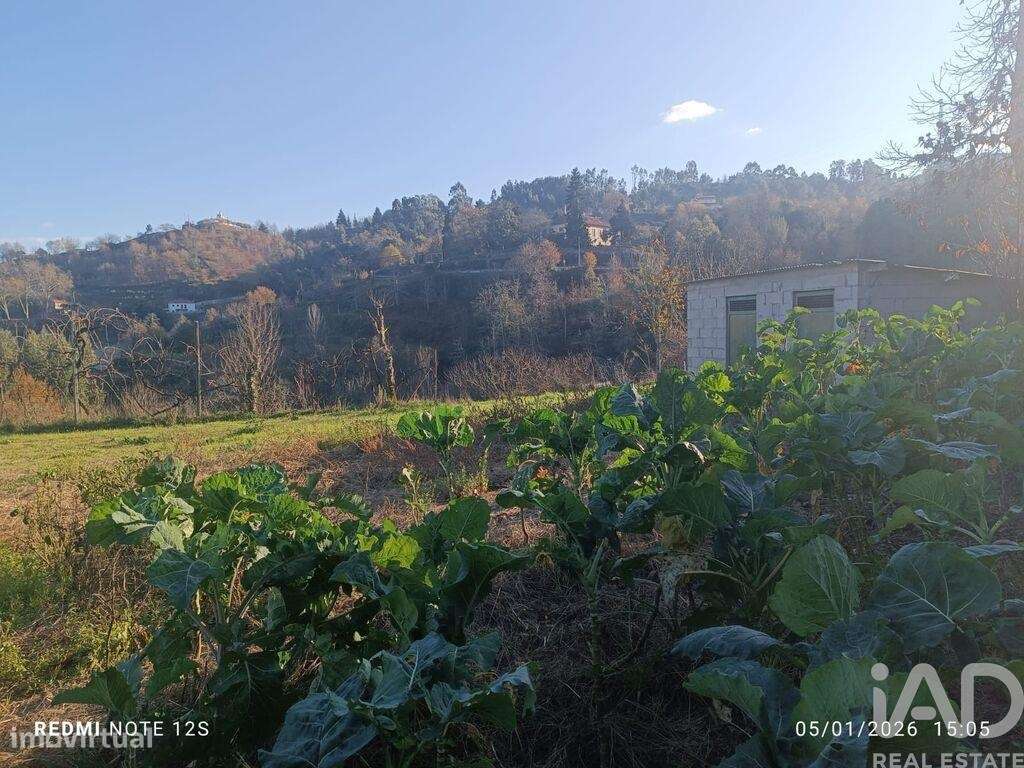 Terreno Agrícola em Paredes de Viadores e Manhuncelos - Grande imagem: 4/4