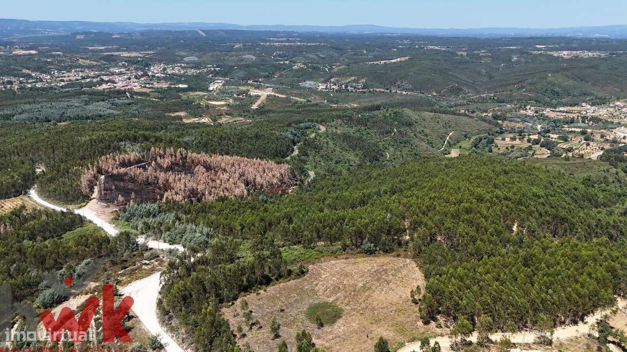 Excelente propriedade c/ 1.3Ha, vistas fabulosas-7