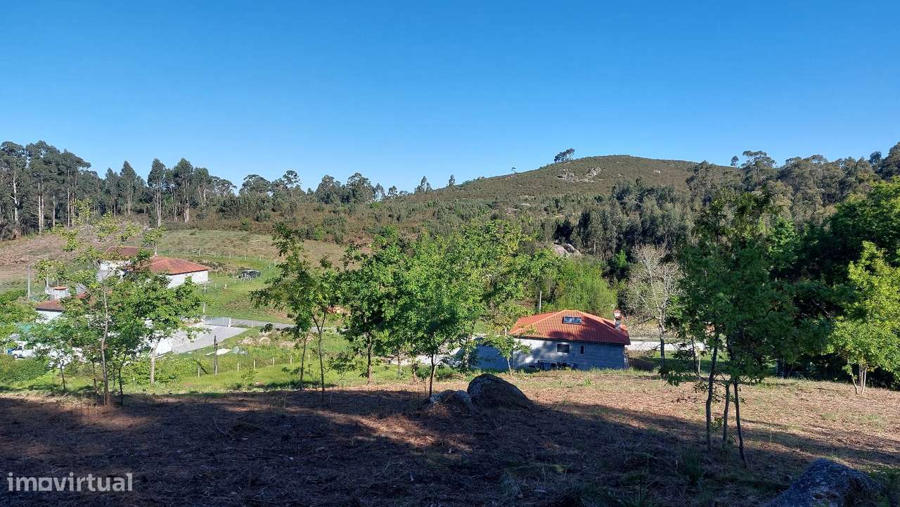 Terreno Terreno com 7.000m2 em Quinchães - Grande imagem: 4/8
