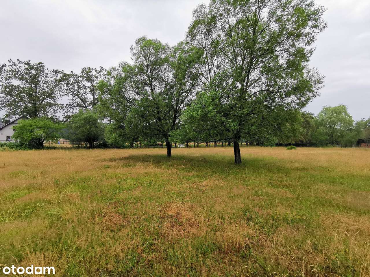 3 działki łącznie: 0,74ha pod rezydencję, agroturystykę lub inwestycję - Pełny obrazek: 5/10