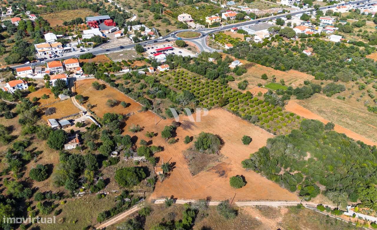 Terreno rústico para arrendamento - Grande imagem: 5/5