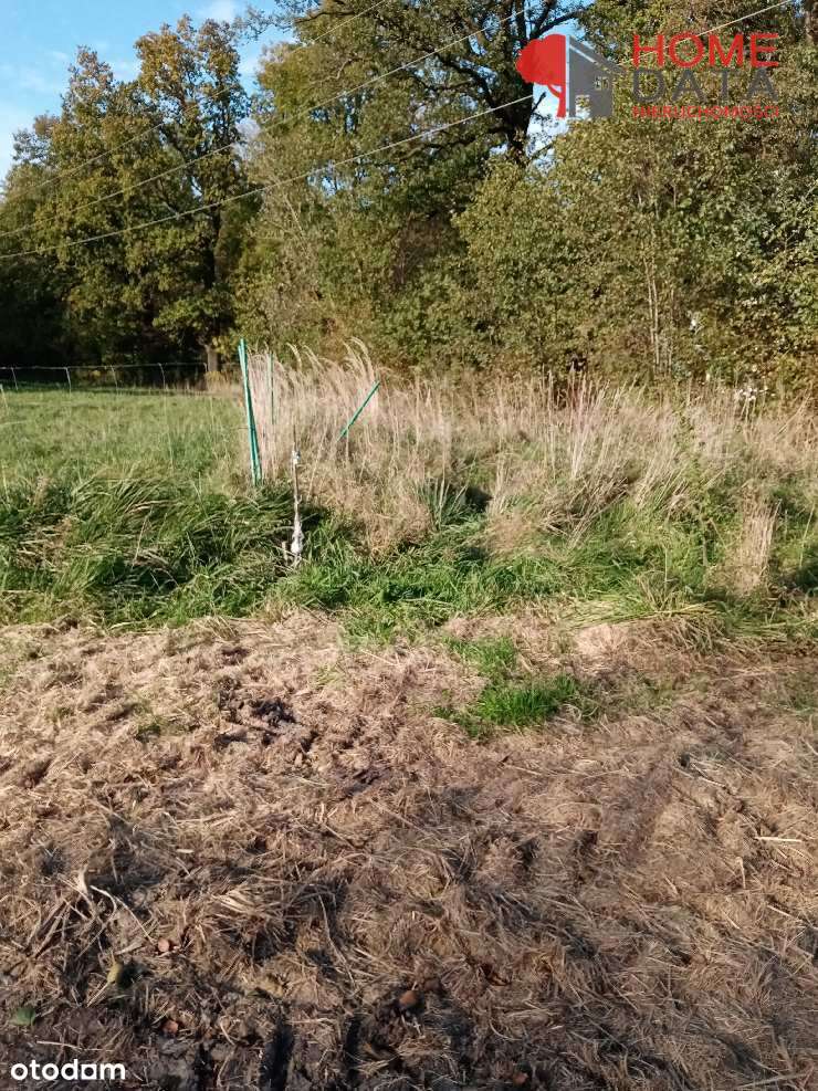 Działka pod mały domek w Opalenicy - Pełny obrazek: 4/15