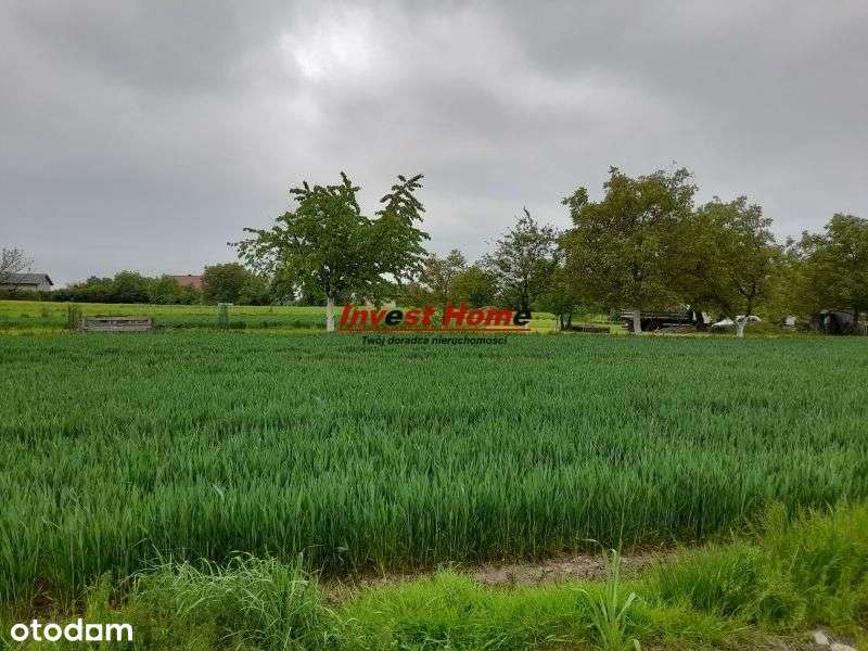 ✅Piękna działka w Świerklanach 868 m2✅ - Pełny obrazek: 4/4