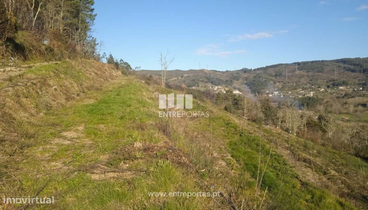 Venda Terreno 3000m2, Gôve, Baião - Grande imagem: 5/8