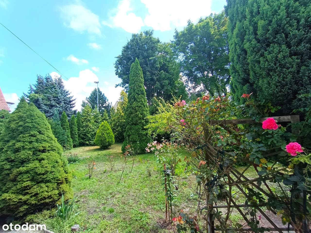 Dom z dużym ogrodem, 2 niezależne mieszkania, garaż i budynek gosp. - Pełny obrazek: 4/19