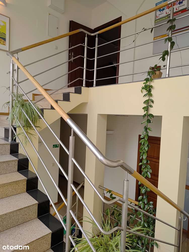 lokal biurowo usługowy Grunwaldzka 62 Poznań 31,5m2 - Pełny obrazek: 5/7