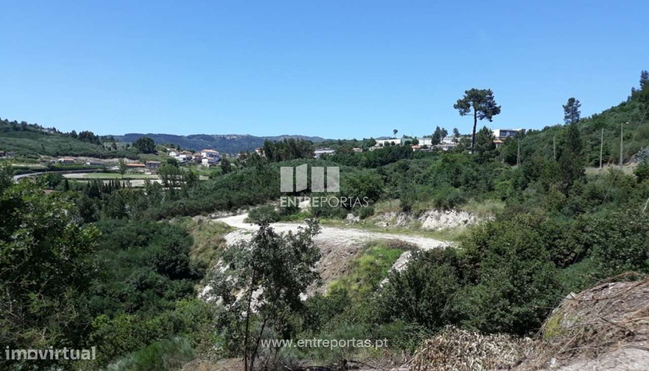 Venda Terreno, Ancede, Baião - Grande imagem: 3/6