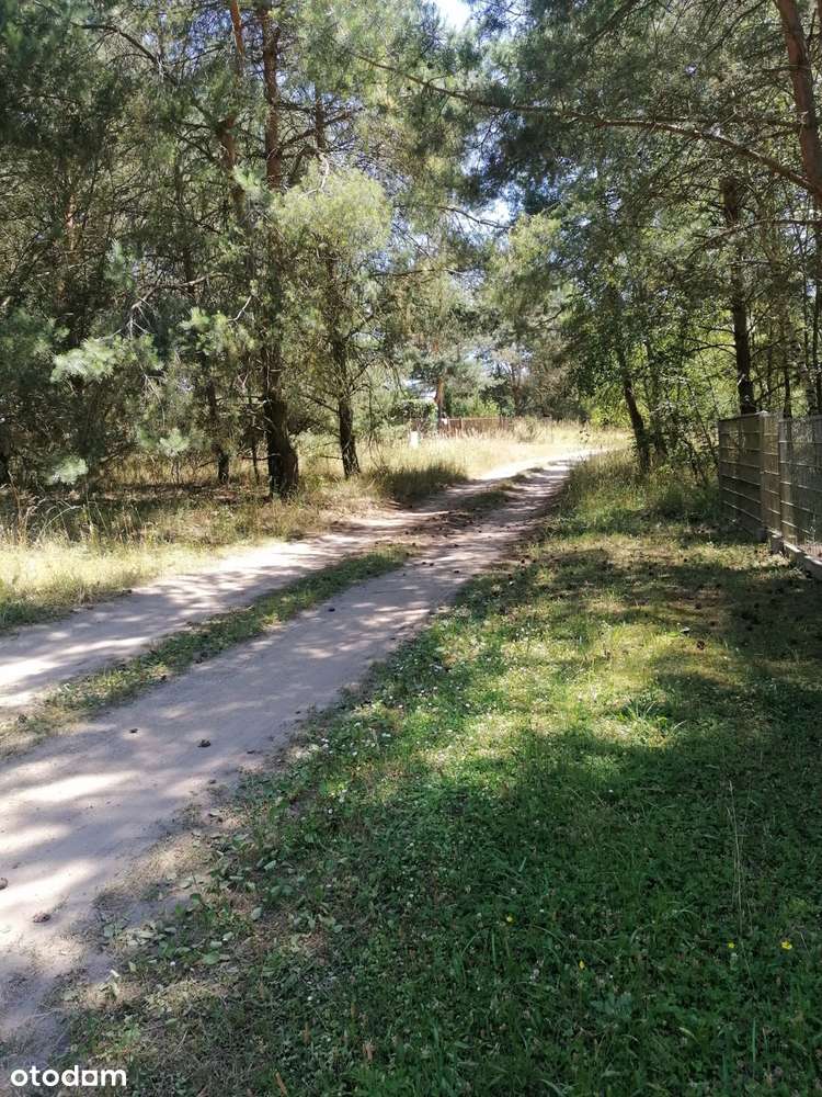 Ładna działka budowlana w lesie nad Jeziorem Tuczno-6