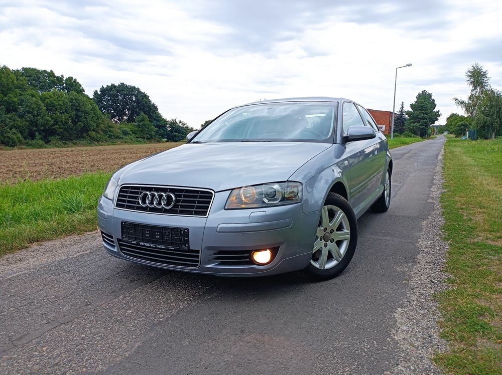 Audi A3 8P (2003-2012) 2.0 TFSI (DSG) S tronic S Line Sportpaket plus 2005
