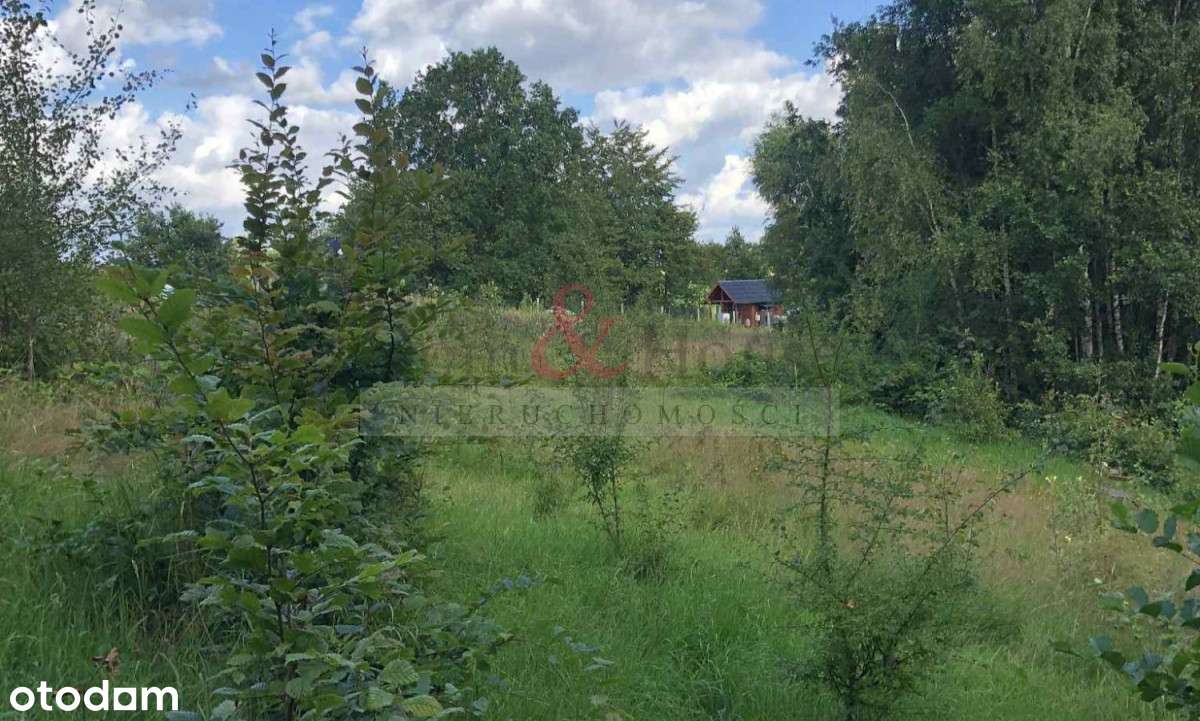 Cisza i prywatność, ogród ekologiczny Kaszuby - Pełny obrazek: 5/13