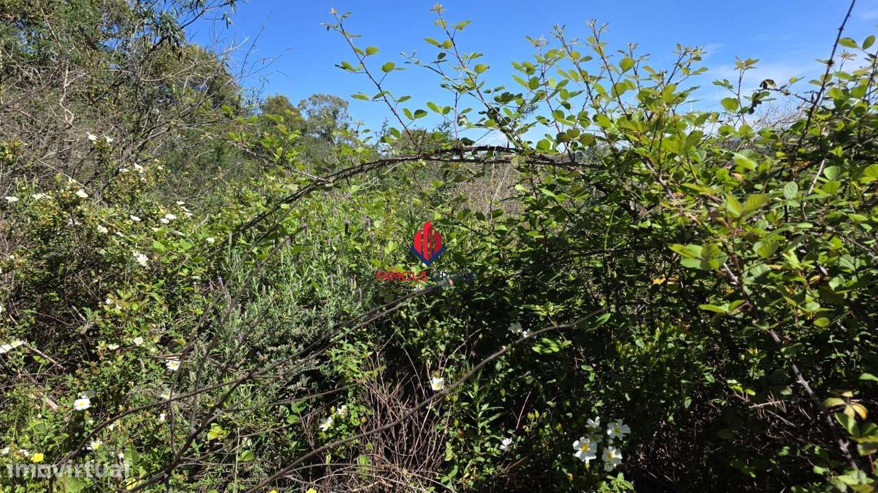 Terreno Rústico em Bensafrim - Grande imagem: 4/36
