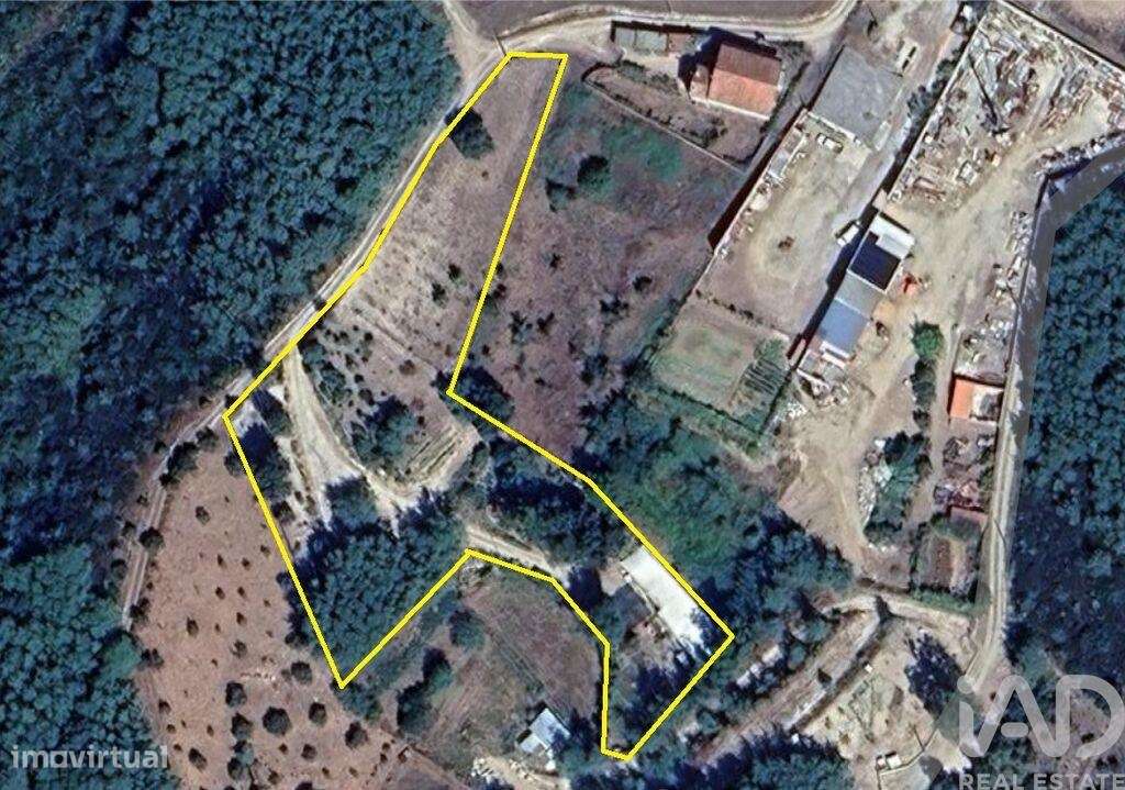 Terreno Agrícola em Oliveira do Hospital e São Paio de Gramaços-39