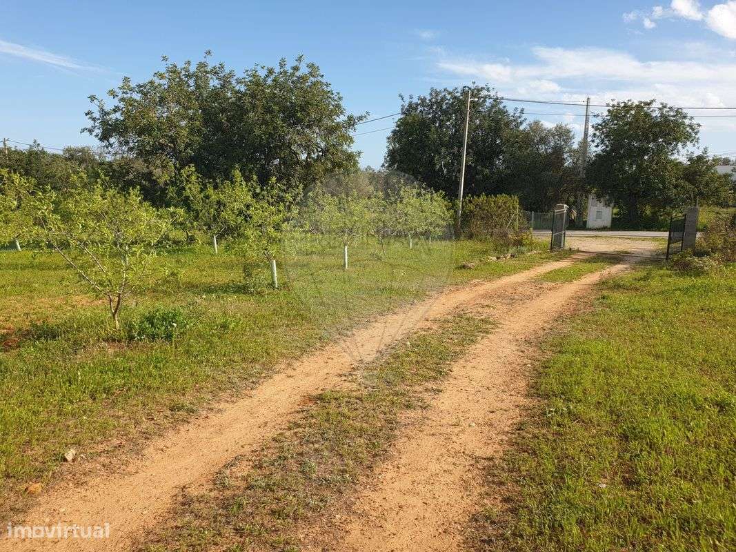 Terreno  para venda - Grande imagem: 4/21