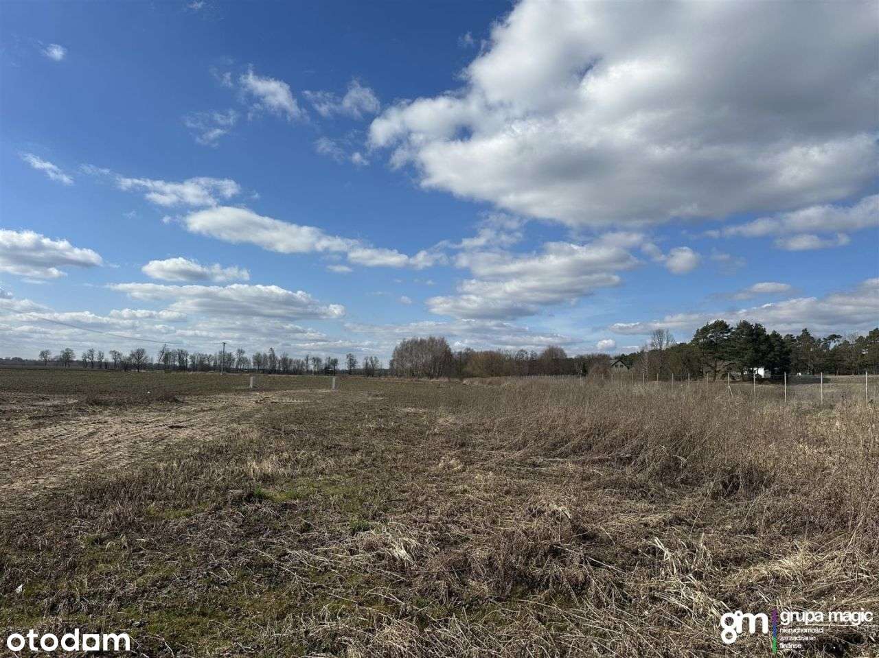 Działka budowlana - Pędzewo przy granicy z Górski - Pełny obrazek: 5/9