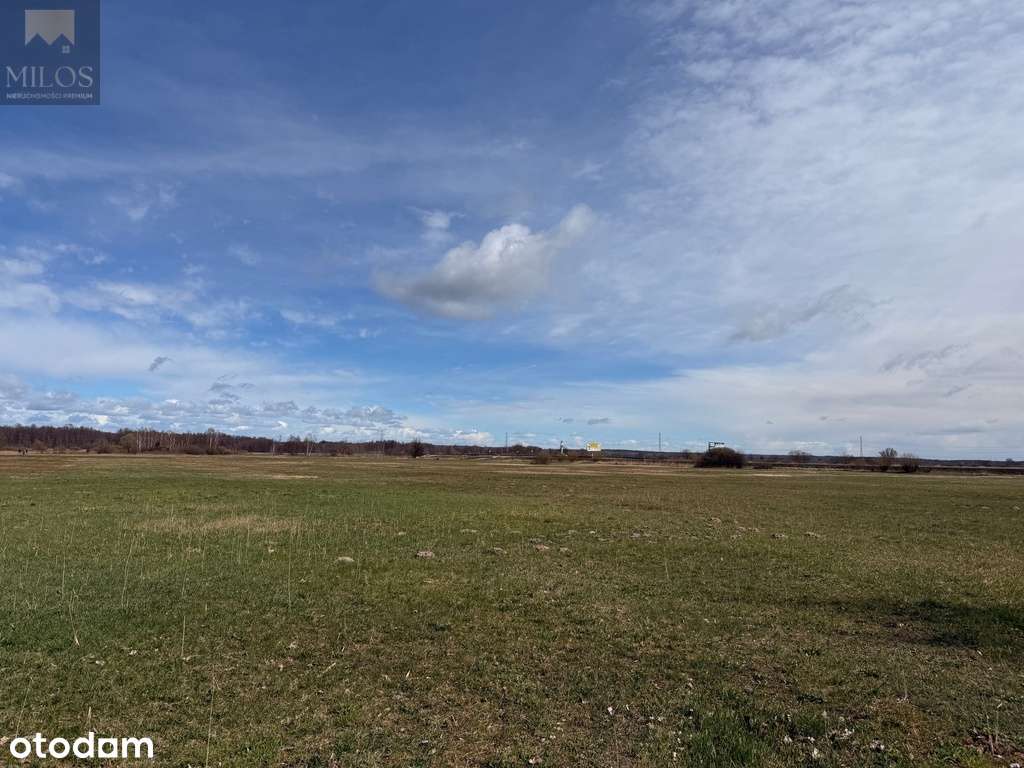 Duża, szeroka działka z WZ. Okazja inwestycyjna! - Pełny obrazek: 5/7