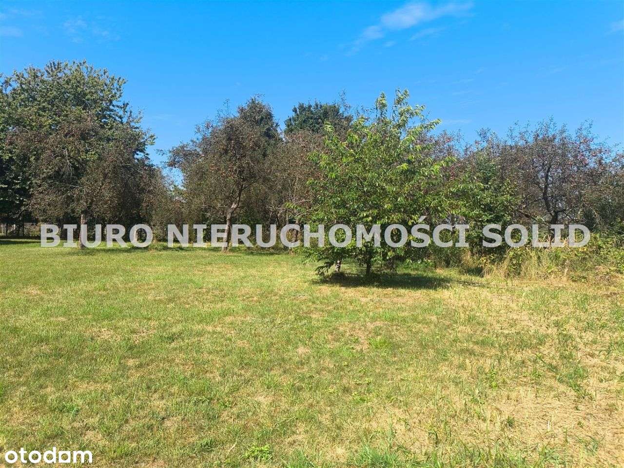 Ładna okolica Działka Woszczyce 133 tys-5