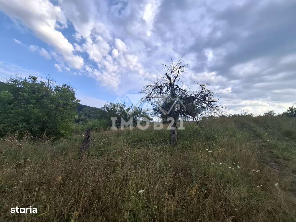 Teren spectaculos cu padure, livada si priveliste panoramica in Soimar-13
