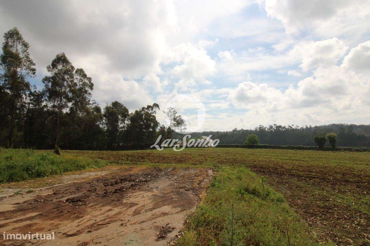 Terreno de construção com 6.190 m2 em Balazar - Grande imagem: 2/7