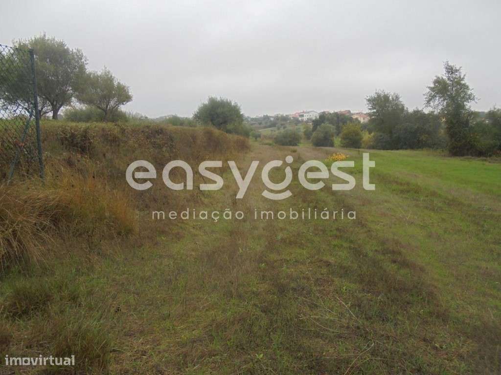 Terreno Rústico em Tomar - Grande imagem: 3/7