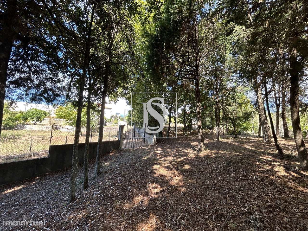 Quinta com 16500m2-56