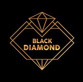 Deweloperzy: BLACK DIAMOND sp. z o.o. - Świdnica, świdnicki, dolnośląskie