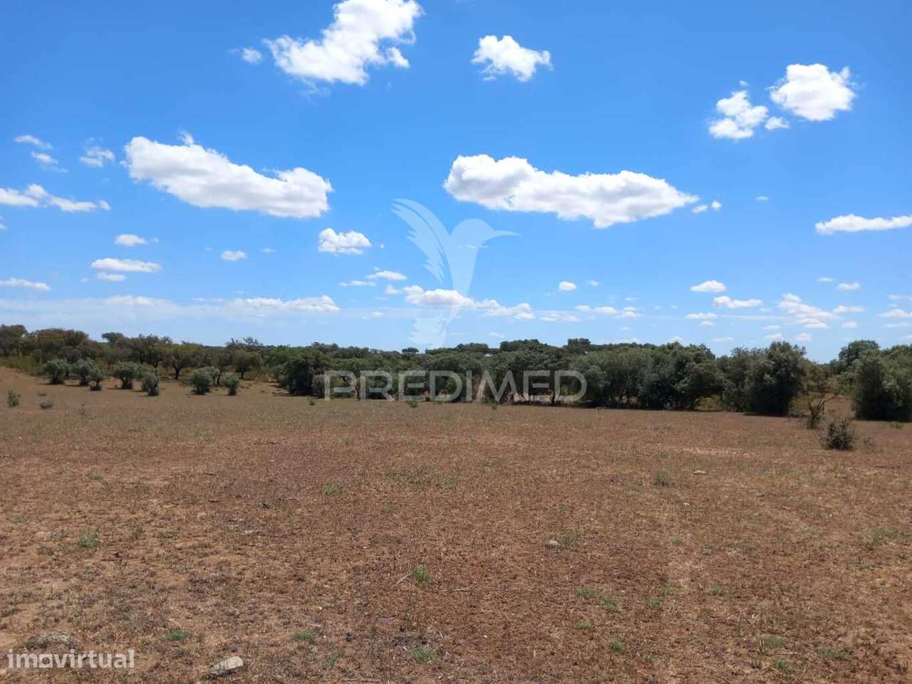 TERRENO COM 5,675 (Ha) - Grande imagem: 3/13