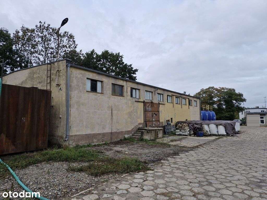 Nojewo, 10 km od Pniew, 1191 m2-0