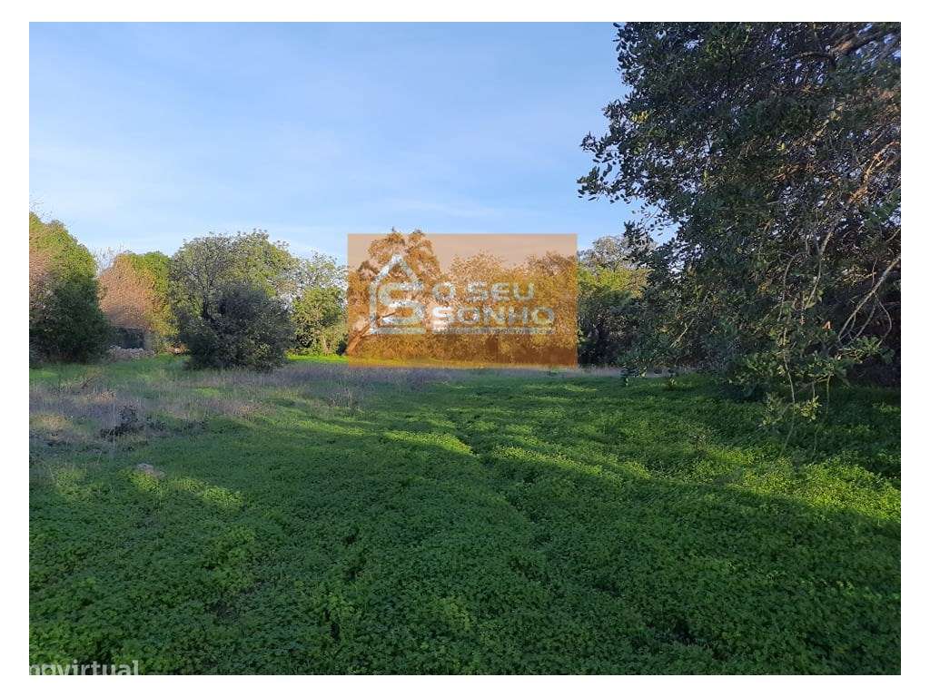 Propriedade com Ruína perto de São Brás de Alportel - Grande imagem: 1/19