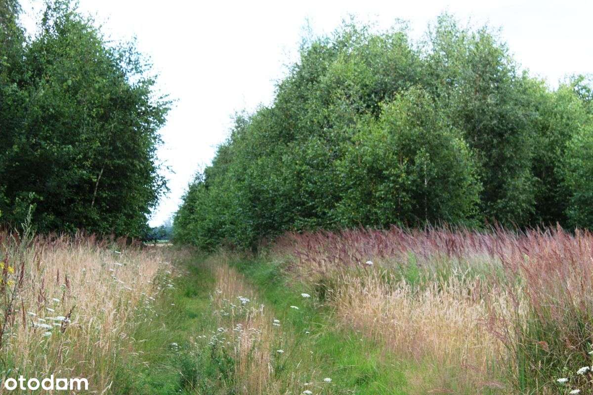 Ziemia orna z potencjałem-4