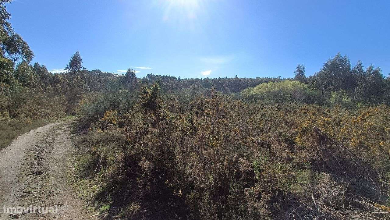 Propriedade Rústica em Santo Tirso-4