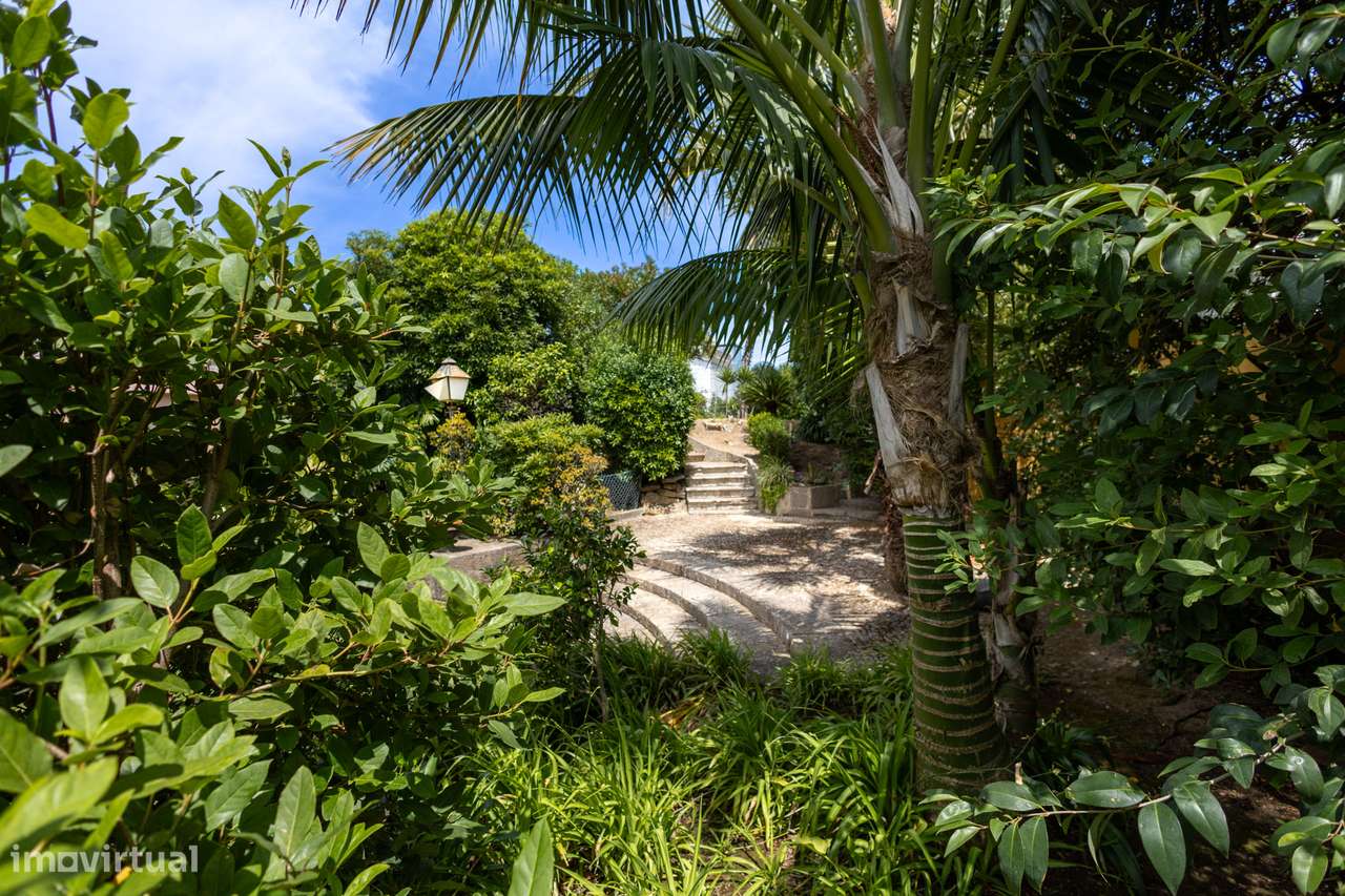 Obra-prima dos anos 70 com potencial ilimitado-11