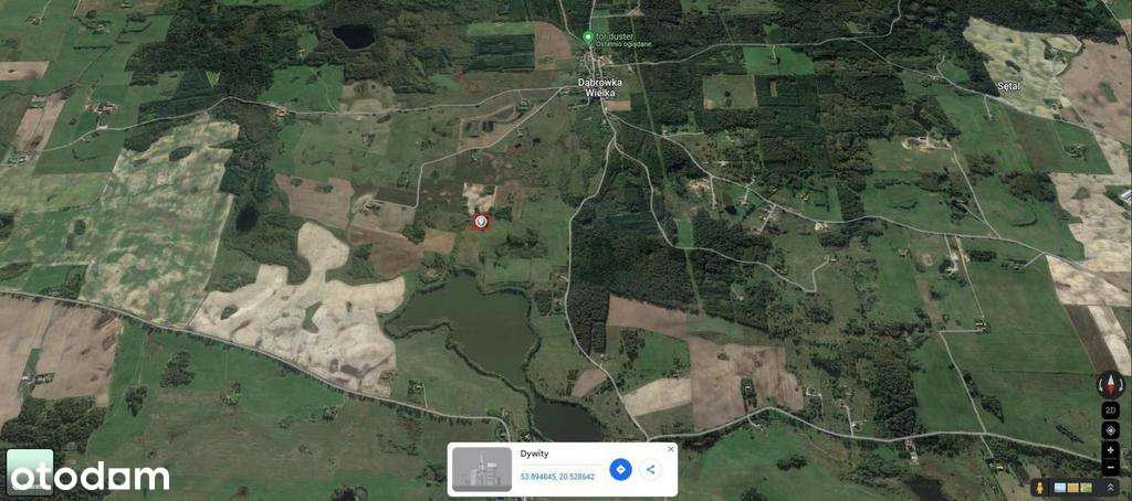 DĄBRÓWKA WIELKA, GMINA DYWITY, DZIAŁKA ROLNA, 146/ - Pełny obrazek: 3/3