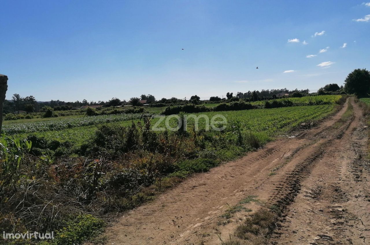 Terreno rústico com 9.000 M2 em Fradelos V.N. Famalicão