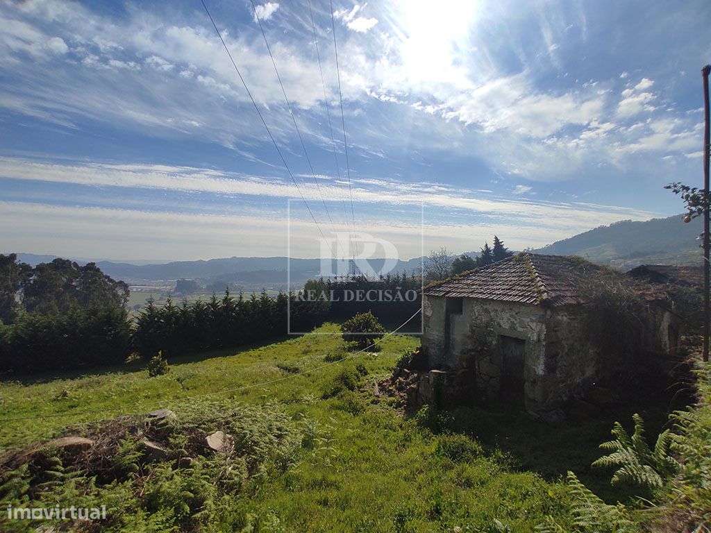 Quinta com 15000m2 em Santo Tirso-7