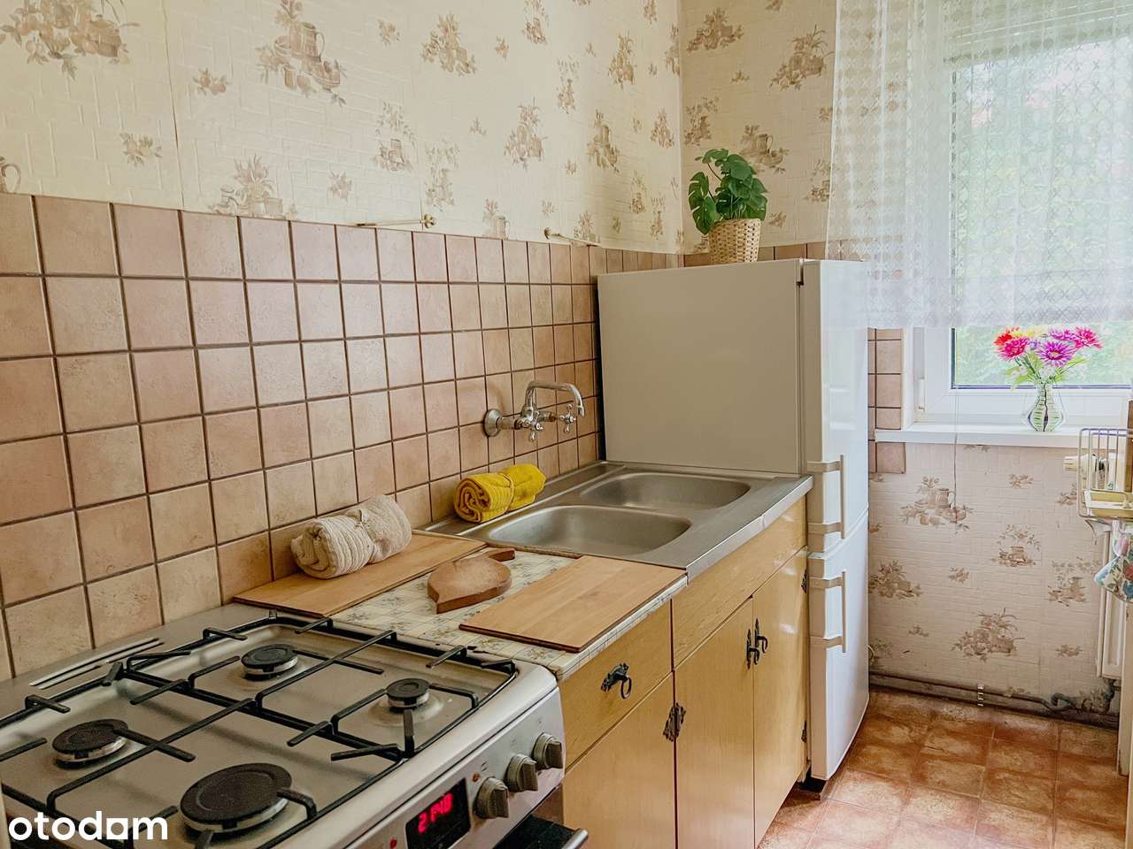 2 pokoje z ogródkiem i piwnicą | Parter | Spokojna lokalizacja | Dąbie - Pełny obrazek: 4/5