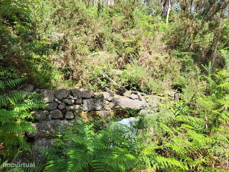 Terreno no Gerês com Ruína e Mina 3 Artigos 8.100m² - Grande imagem: 4/12