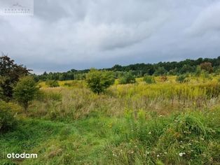 działka w otoczeniu zieleni i lasów