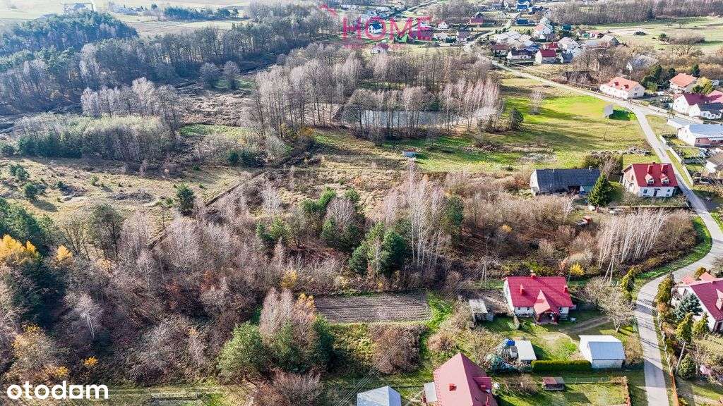 Działka w Trzęsówce- 1,51 ha-7