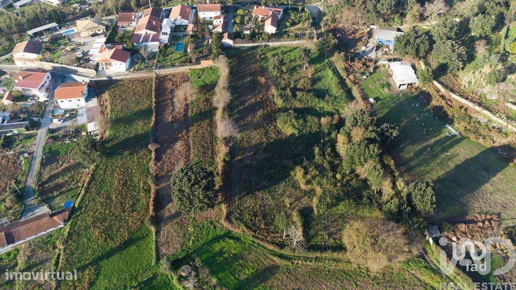 Terreno em Pinheiro da Bemposta, Travanca e Palmaz - Grande imagem: 5/14