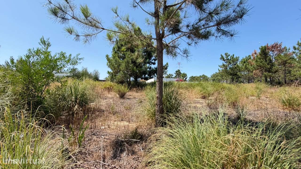Terreno Urbano para Construção de Moradia em Marisol, Amora-15