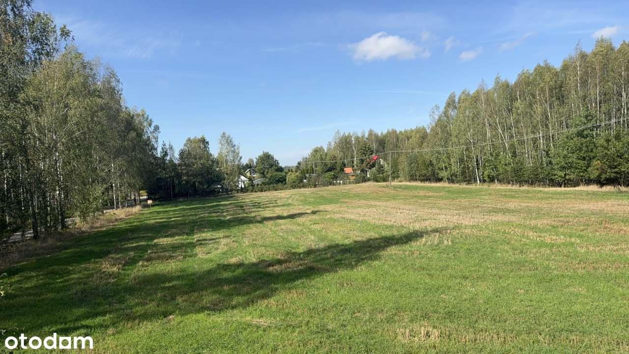 7 400 m² w sercu Podlasia – Twoja część natury w Dubinach!-7