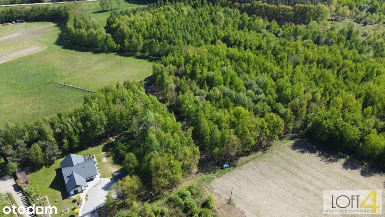 Działka z WZ 23 ary w lesie w Radłowie - Pełny obrazek: 4/16