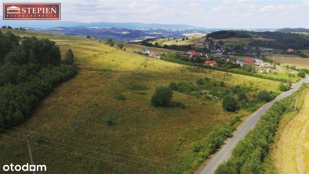 Działka, 1 602 m², Jeżów Sudecki - Pełny obrazek: 4/9